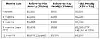 A table showing IRS late filing penalties by months late, with failure-to-file at 5% per month, failure-to-pay at 0.5% per month, and total penalties reaching $6,200 at 12 months.