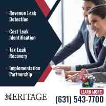 Business professionals analyzing financial data for revenue and cost leak detection
